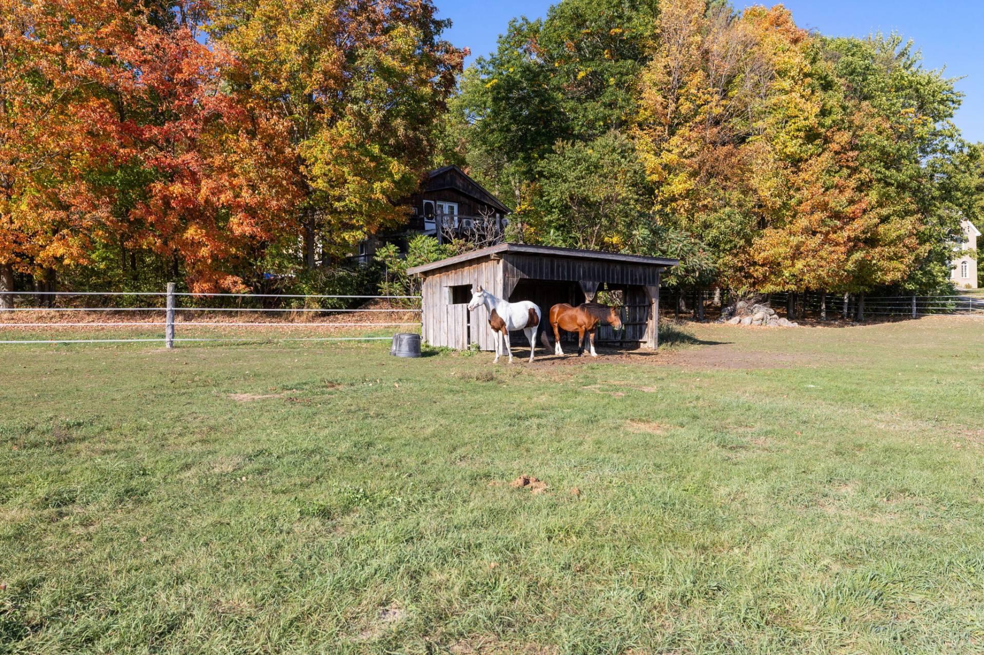 









150


Ch. Rawcliffe

,
Grenville-sur-la-Rouge,




QC
J0V1B0

