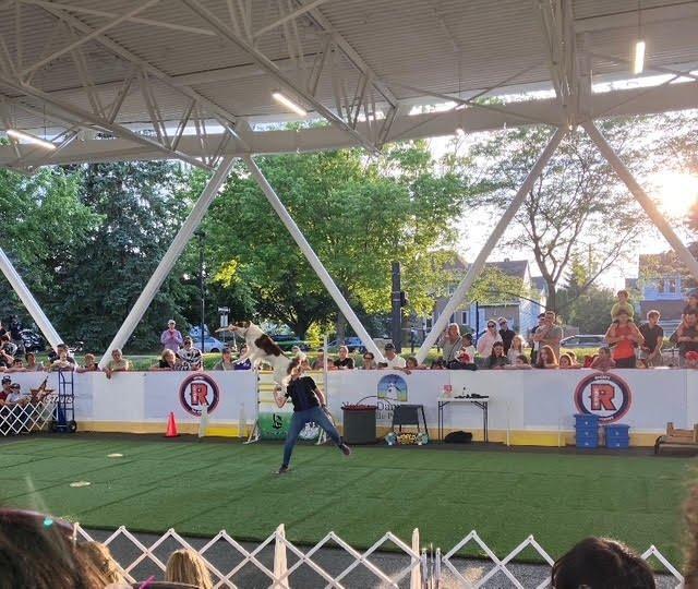 









10


Rue Yvette-Brind'Amour

,
Notre-Dame-de-l'Île-Perrot,




QC
J7W3P5

