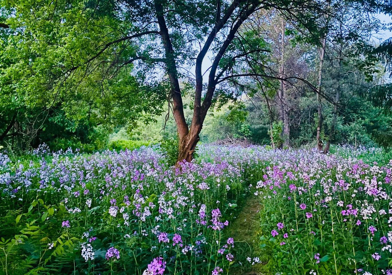 









79


Rue Principale

,
Frelighsburg,




QC
J0J1C0

