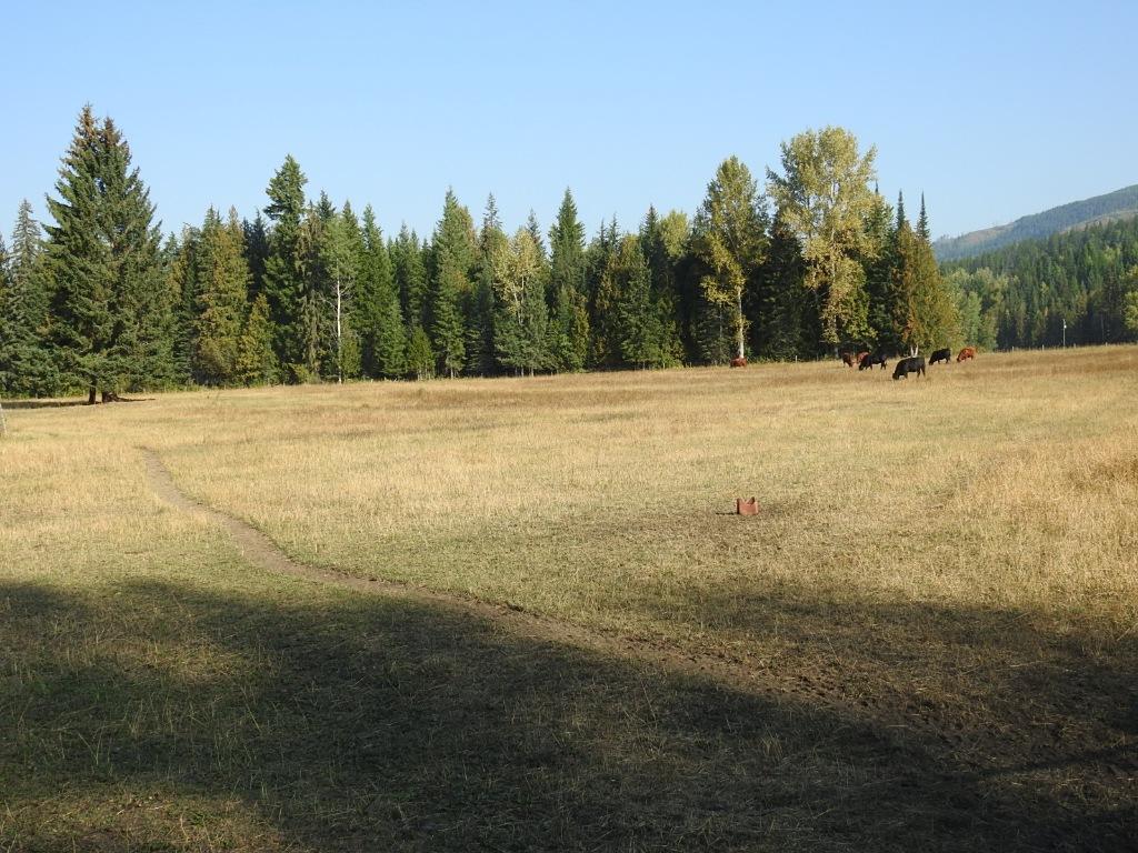 









1852


Trinity Valley

Road,
Lumby,




BC
V0E 2G4

