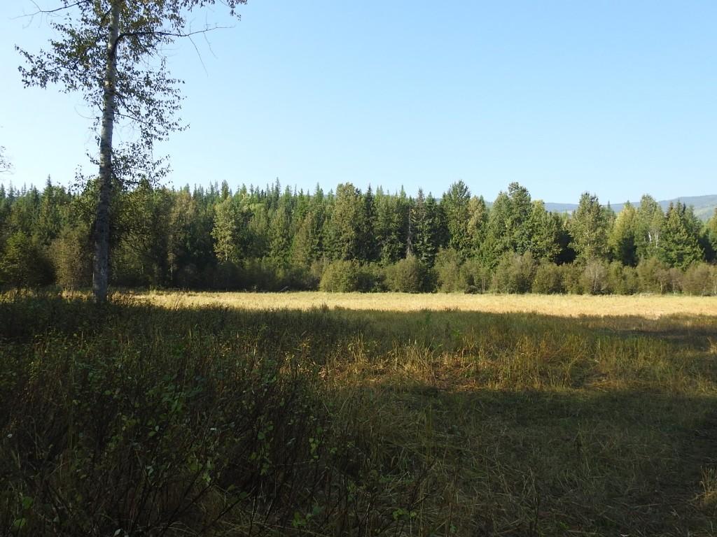 









1852


Trinity Valley

Road,
Lumby,




BC
V0E 2G4

