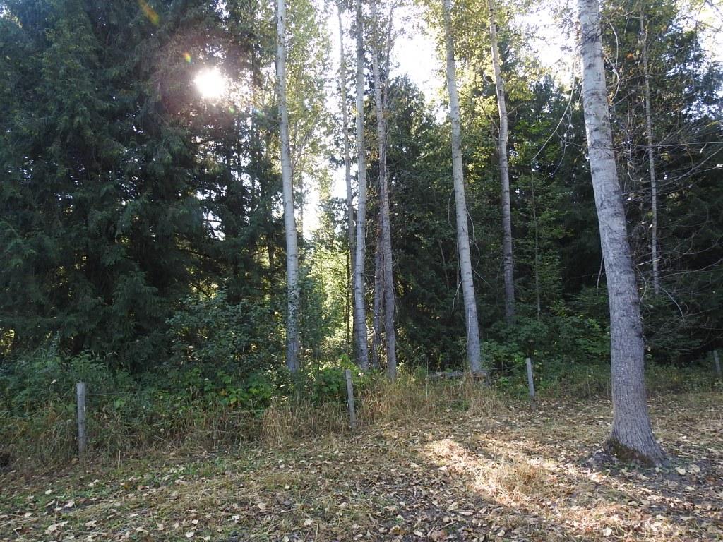 









1852


Trinity Valley

Road,
Lumby,




BC
V0E 2G4

