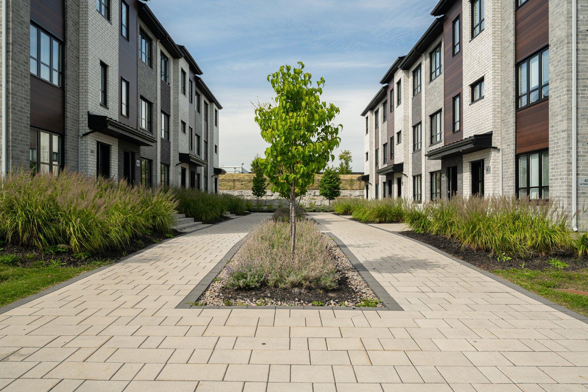 









50


Rue Napoléon

, 3,
Sainte-Thérèse,




QC
J7E1H6

