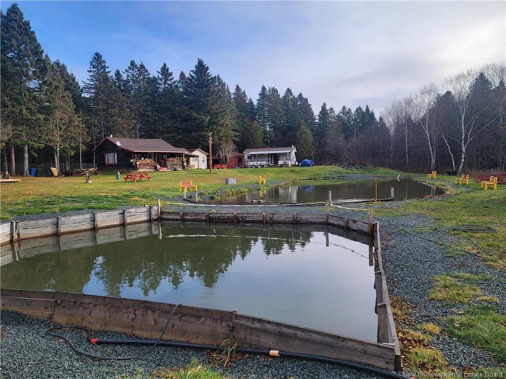 









91


Des Ormes

,
Petit-Rocher-Nord,




NB
E8J 2K1

