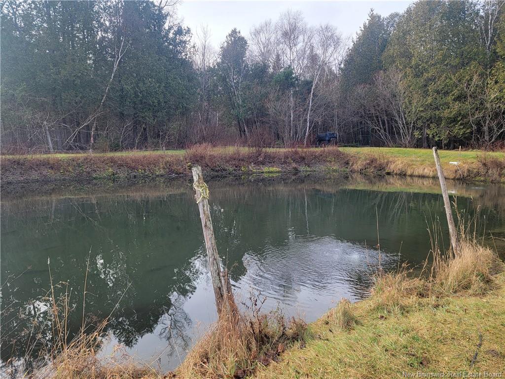 









91


Des Ormes

,
Petit-Rocher-Nord,




NB
E8J 2K1

