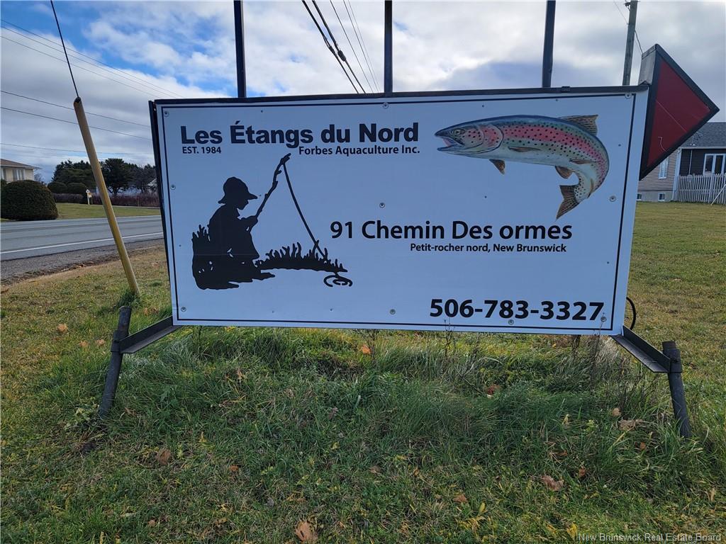 









91


Des Ormes

,
Petit-Rocher-Nord,




NB
E8J 2K1

