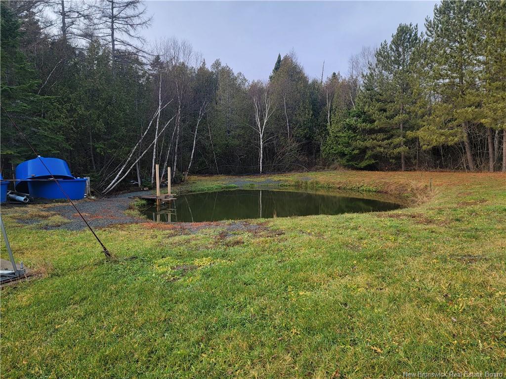 









91


Des Ormes

,
Petit-Rocher-Nord,




NB
E8J 2K1

