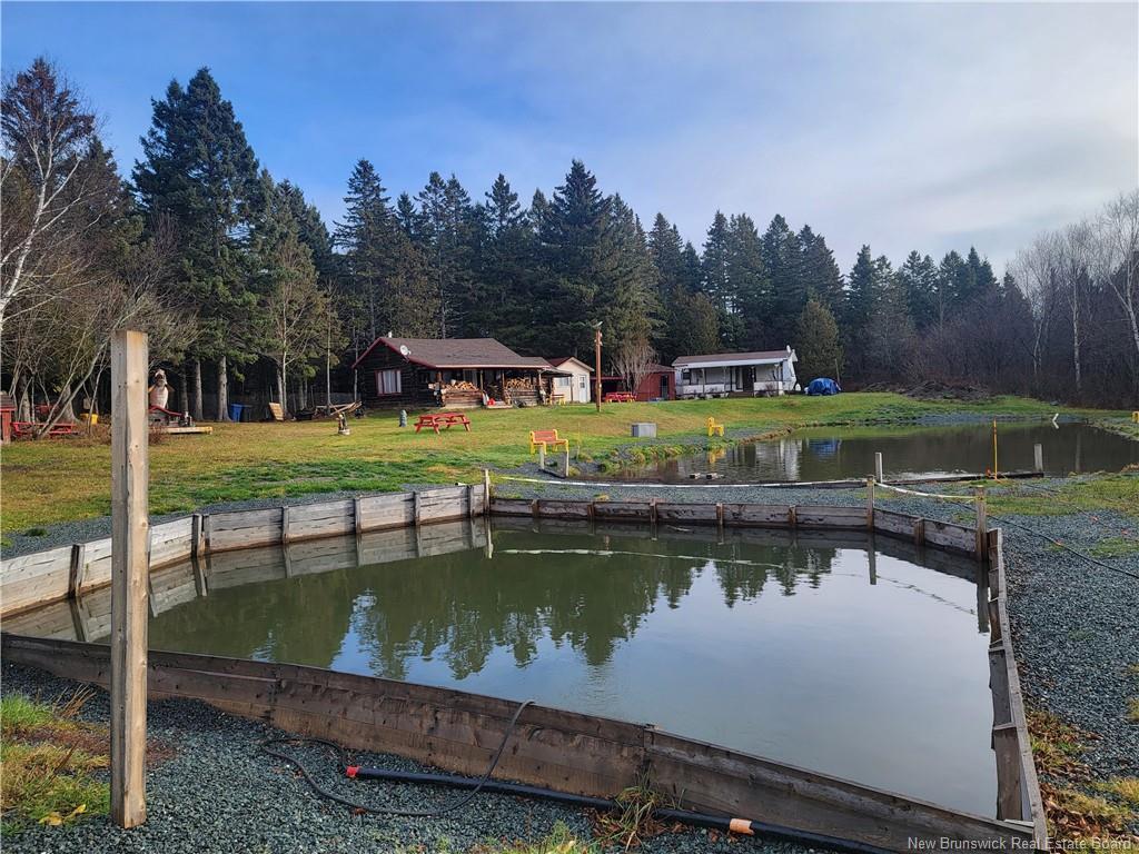 









91


Des Ormes

,
Petit-Rocher-Nord,




NB
E8J 2K1

