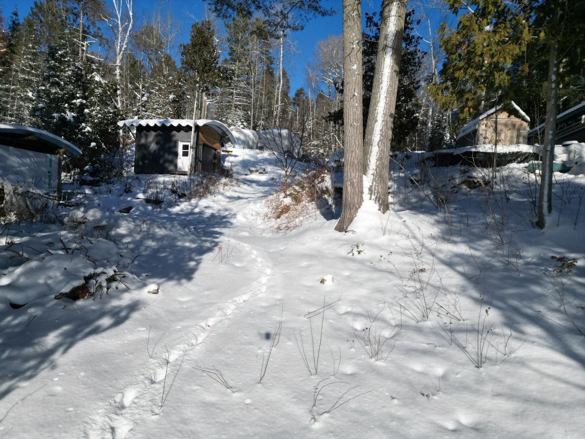 









1919


Ch. du Ski

,
Laniel,




QC
J0Z2K0

