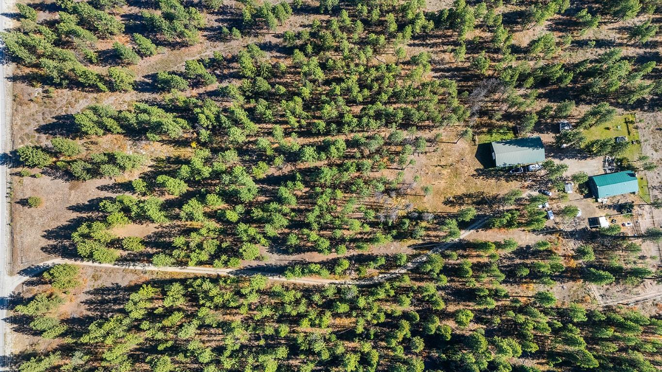 









7502


Highway 95A

,
Kimberley,




BC
V1A 3L4

