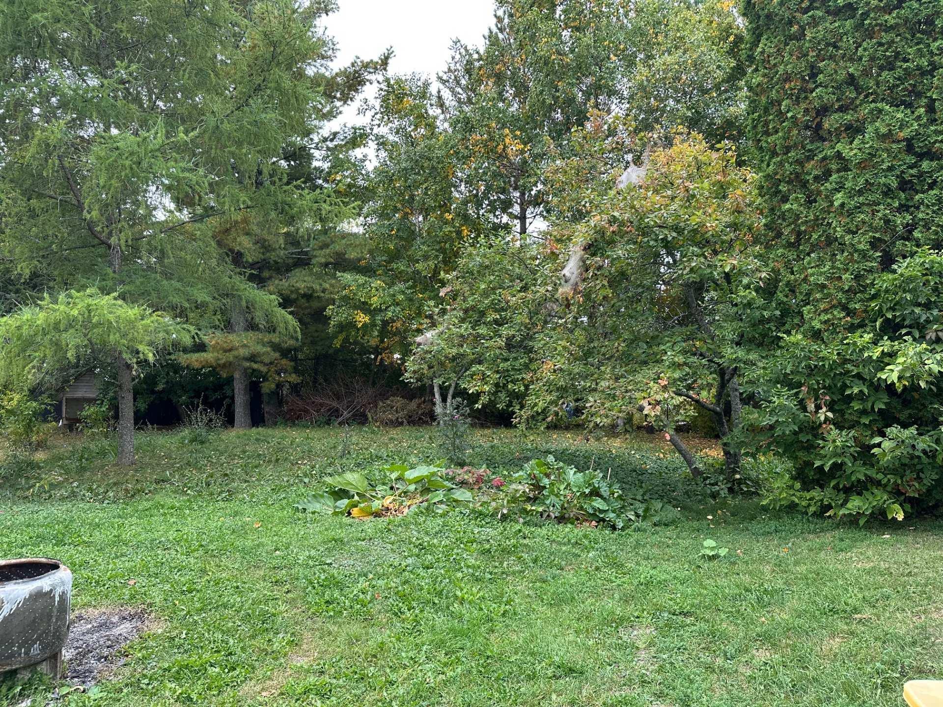 









6

 - 8


Rue St-Isidore E.

,
Ville-Marie,




QC
J9V1H4

