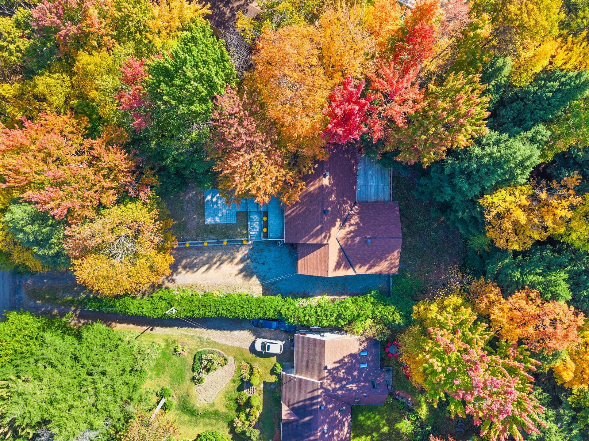 









3162Z


Rue Pine Tree

,
Saint-Lazare,




QC
J7T2J3

