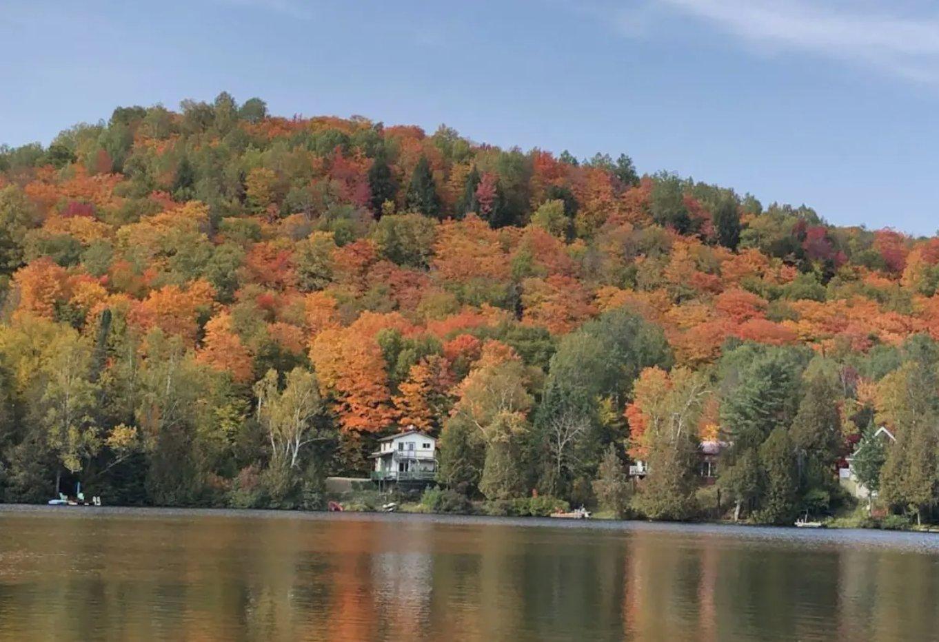 









2705


Route 323 N.

,
Amherst,




QC
J0T2L0

