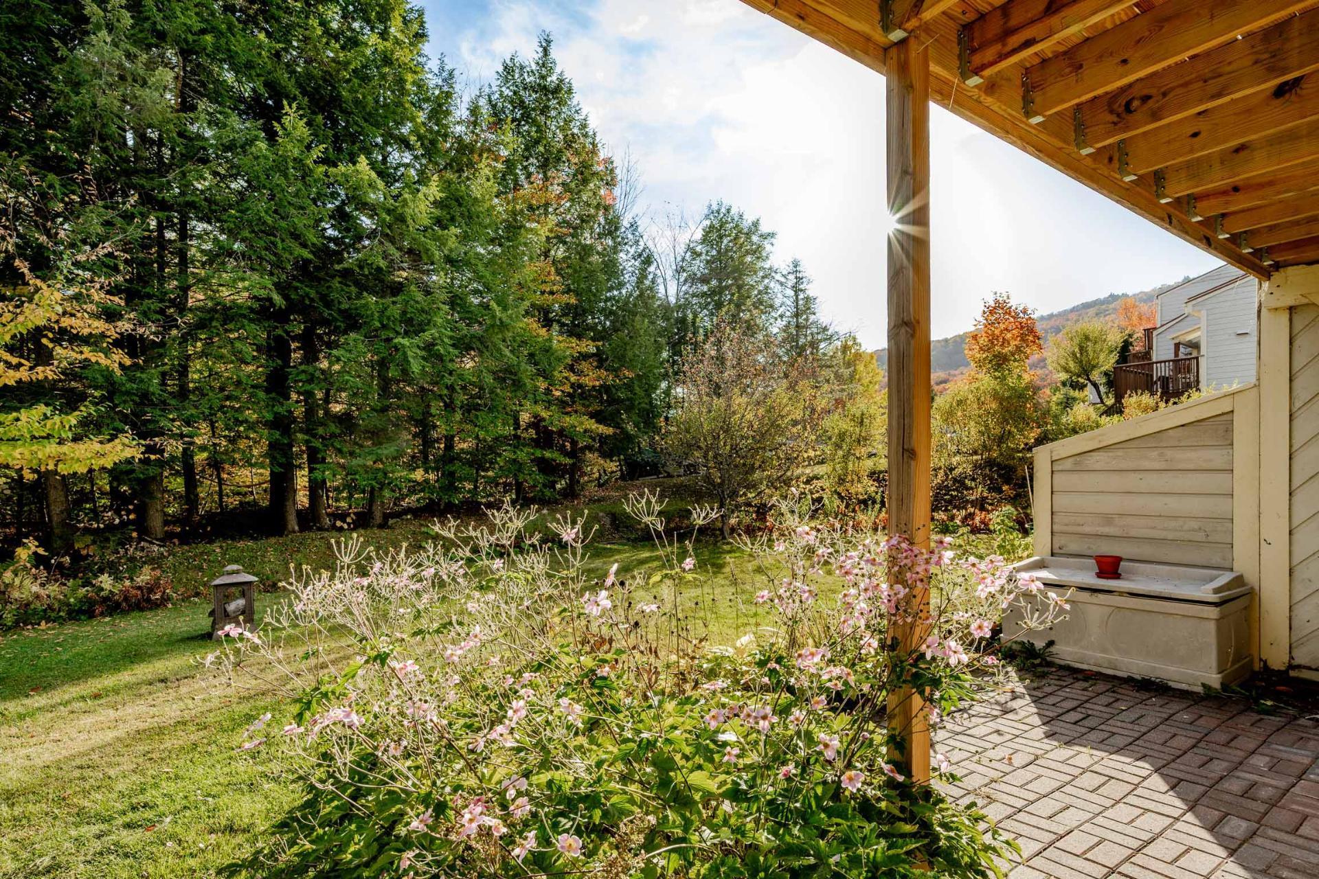 









58


Rue de la Grande-Coulée

,
Orford,




QC
J1X6Z6

