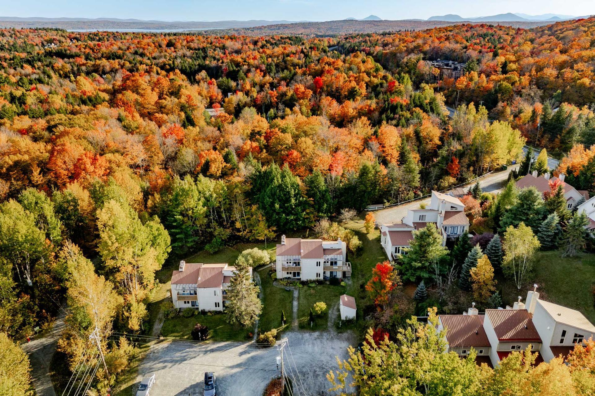 









58


Rue de la Grande-Coulée

,
Orford,




QC
J1X6Z6

