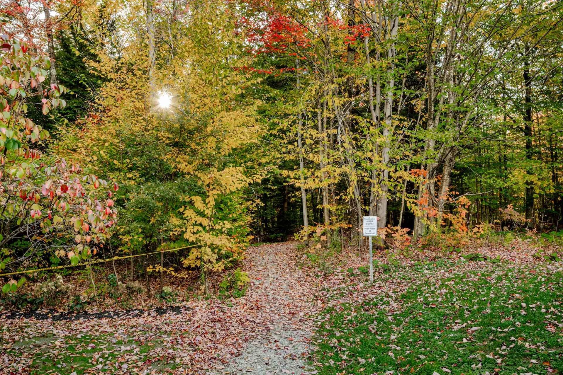 









58


Rue de la Grande-Coulée

,
Orford,




QC
J1X6Z6

