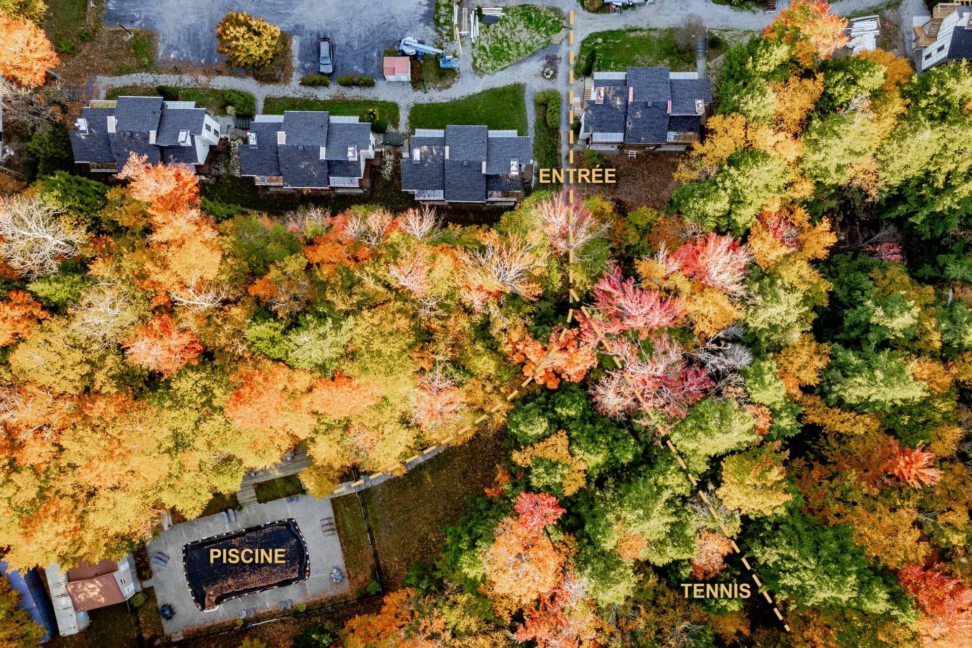 









58


Rue de la Grande-Coulée

,
Orford,




QC
J1X6Z6

