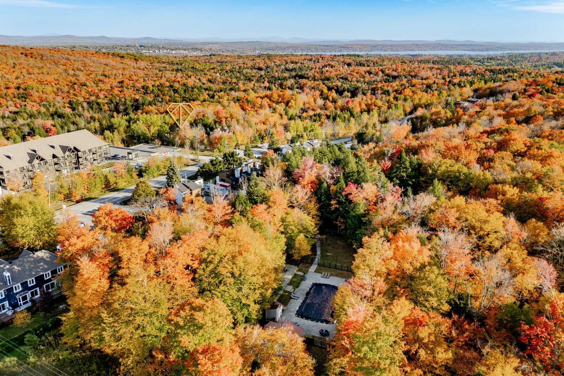 









58


Rue de la Grande-Coulée

,
Orford,




QC
J1X6Z6

