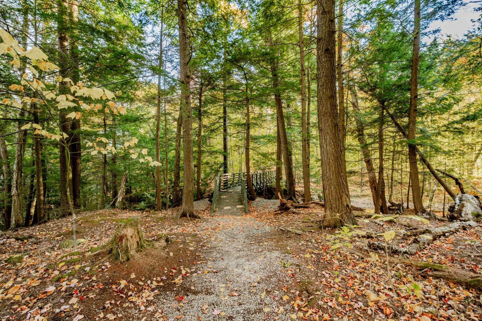 









58


Rue de la Grande-Coulée

,
Orford,




QC
J1X6Z6

