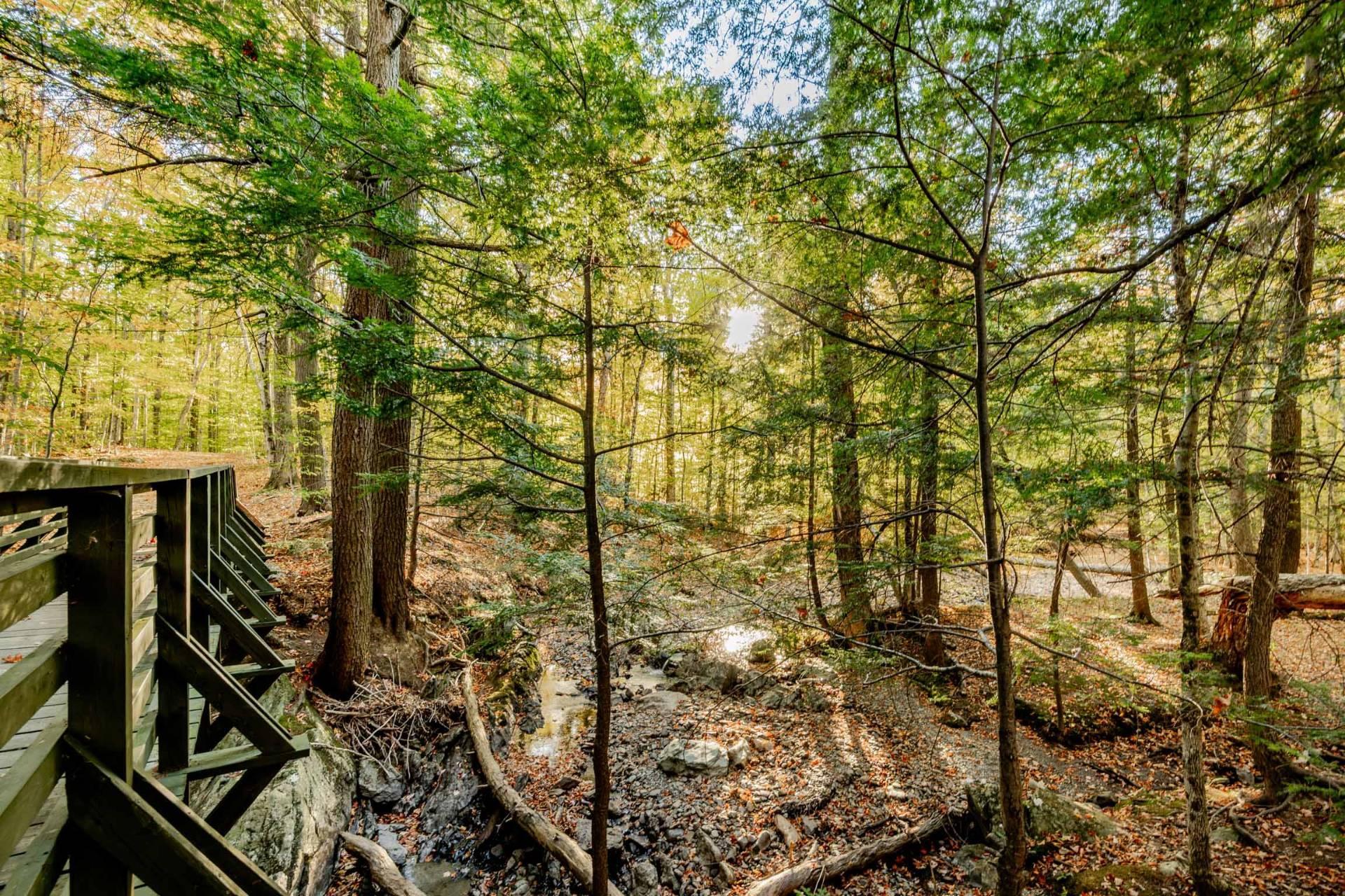 









58


Rue de la Grande-Coulée

,
Orford,




QC
J1X6Z6

