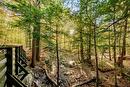 Terre/Terrain