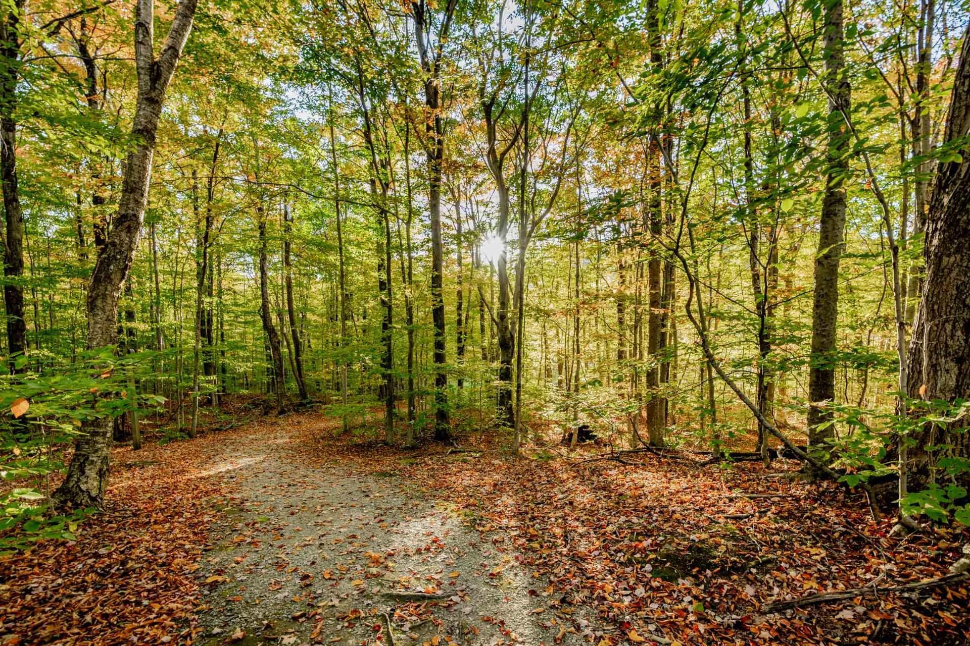 









58


Rue de la Grande-Coulée

,
Orford,




QC
J1X6Z6

