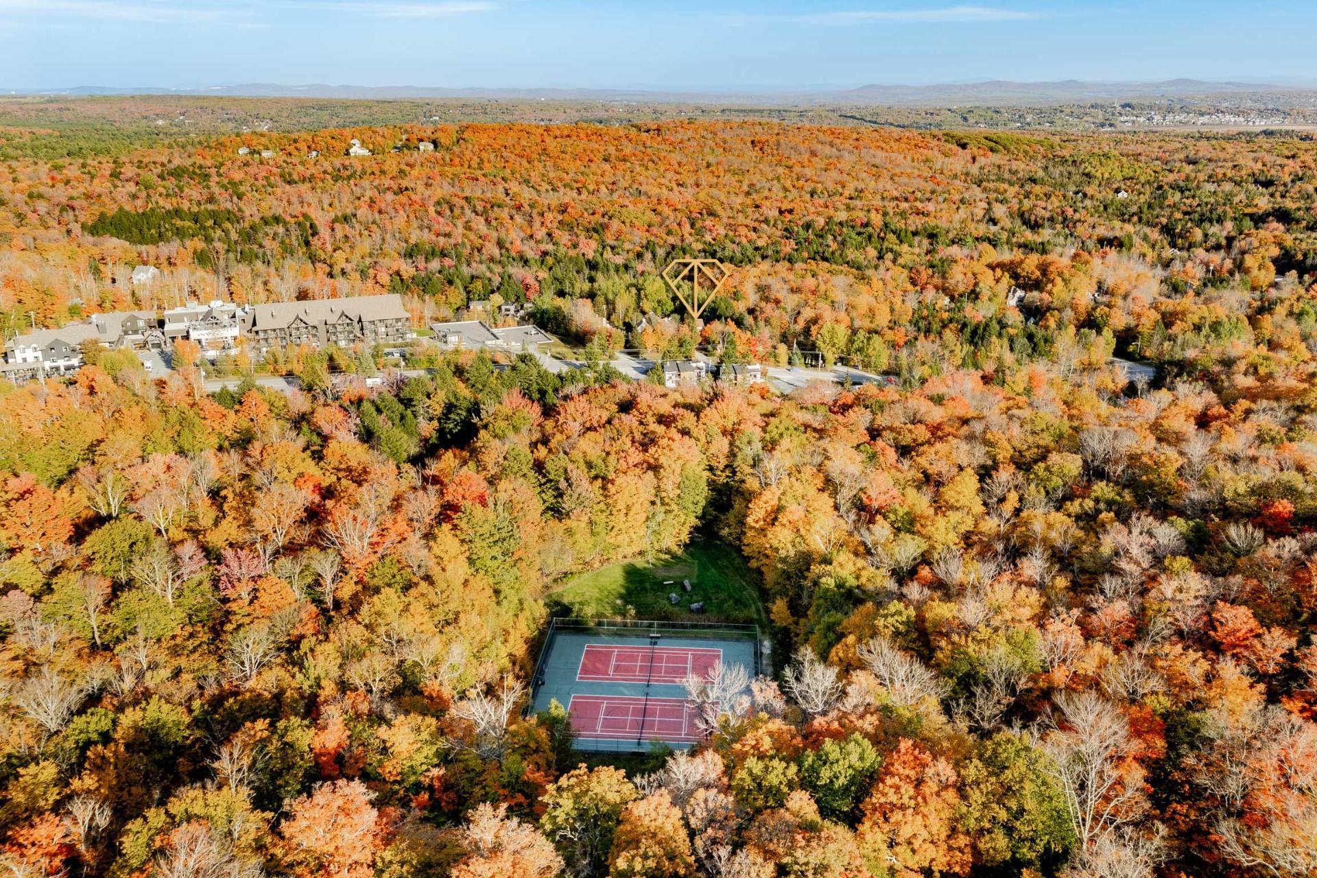 









58


Rue de la Grande-Coulée

,
Orford,




QC
J1X6Z6

