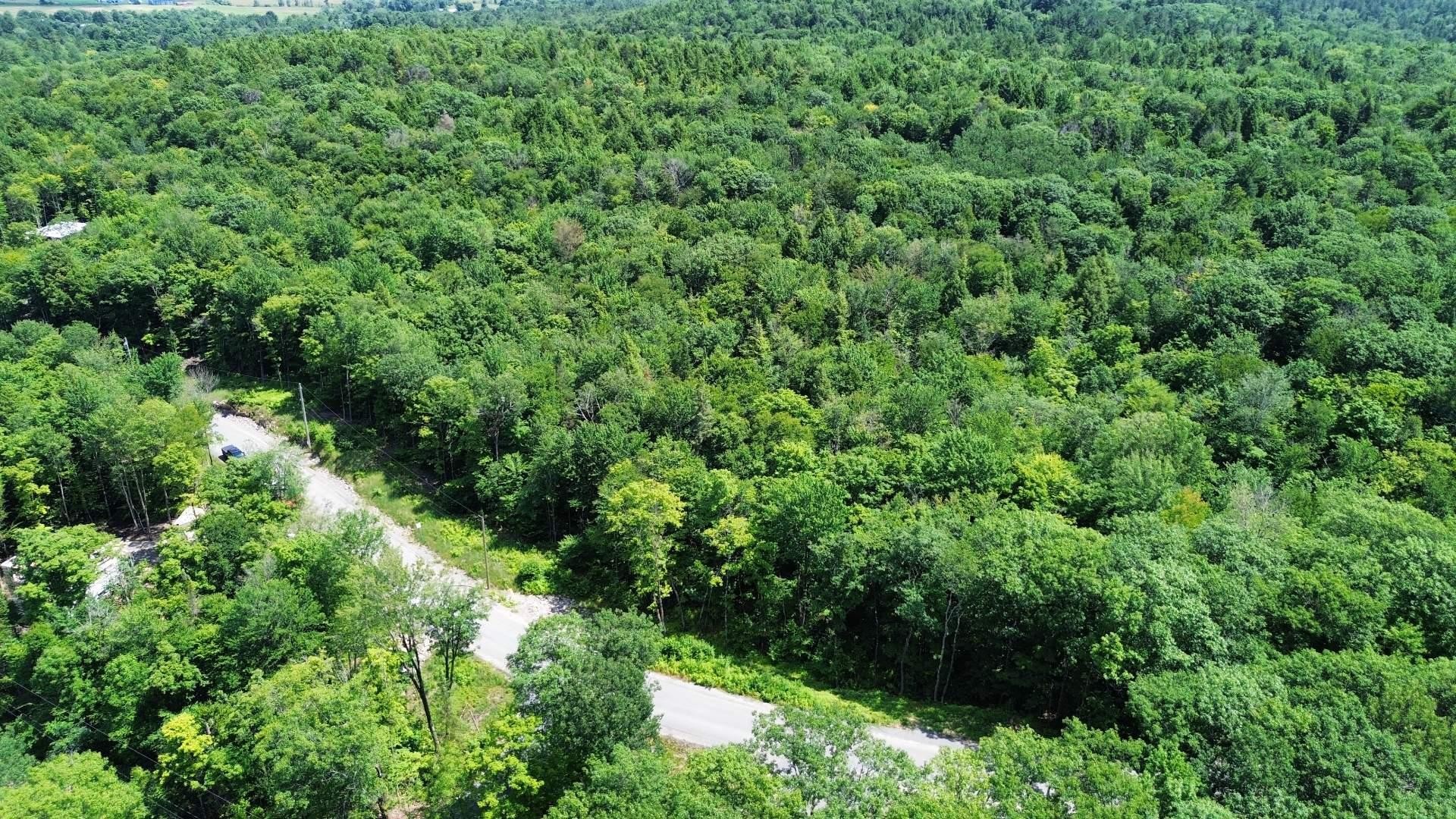 









14


Ch. des Huards

,
Mille-Isles,







QC
J0R1A0

