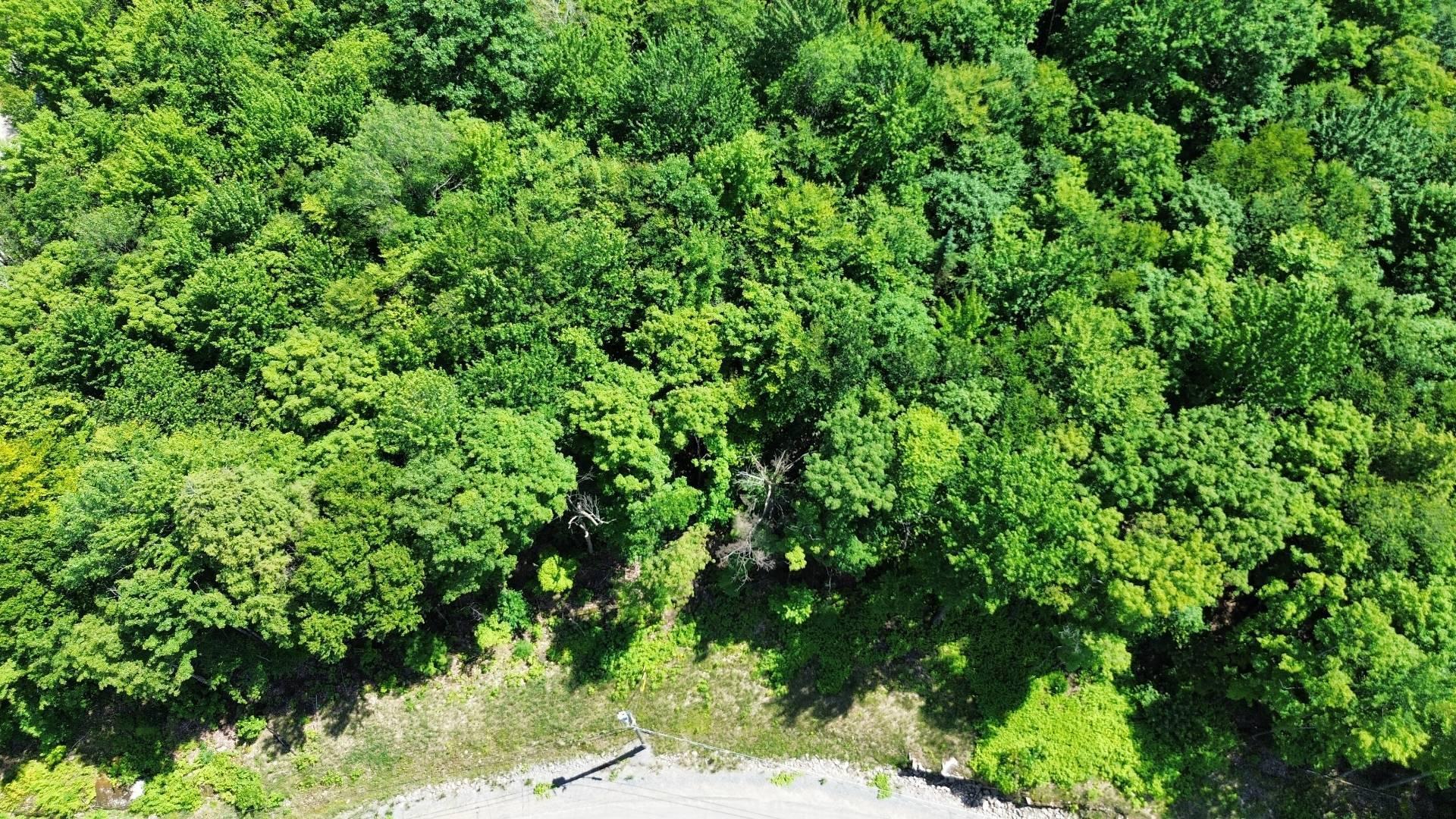 









30


Ch. des Huards

,
Mille-Isles,







QC
J0R1A0

