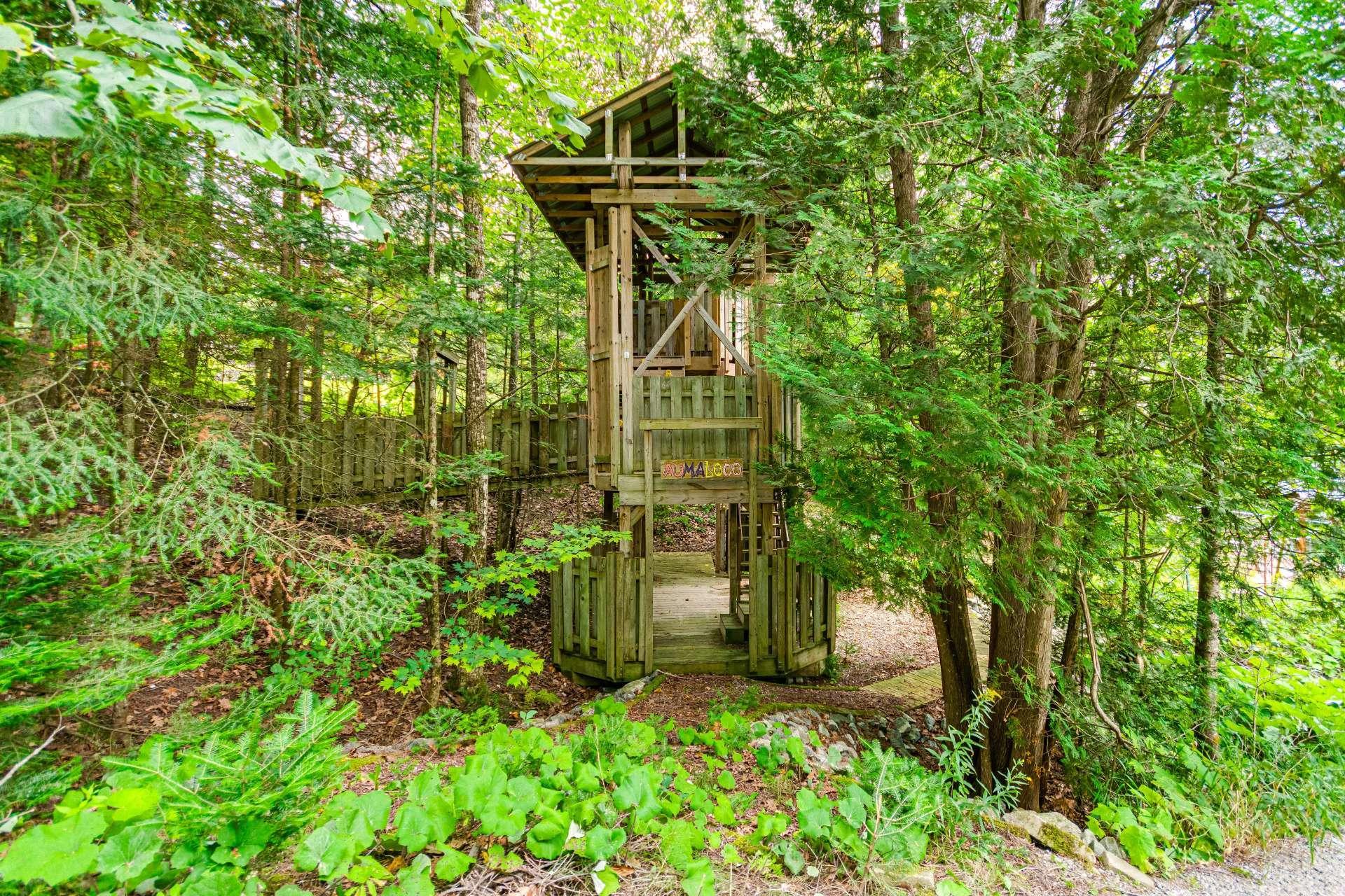 









6


Rue de l'Abitibi

,
Cantley,




QC
J8V3H4

