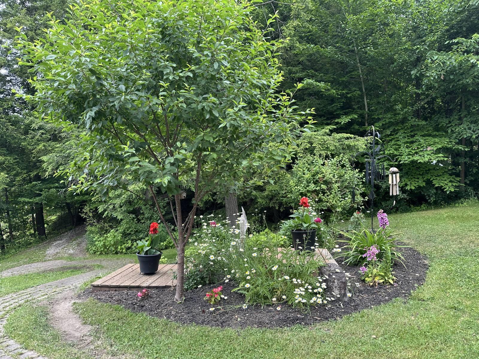 









6


Rue de l'Abitibi

,
Cantley,




QC
J8V3H4

