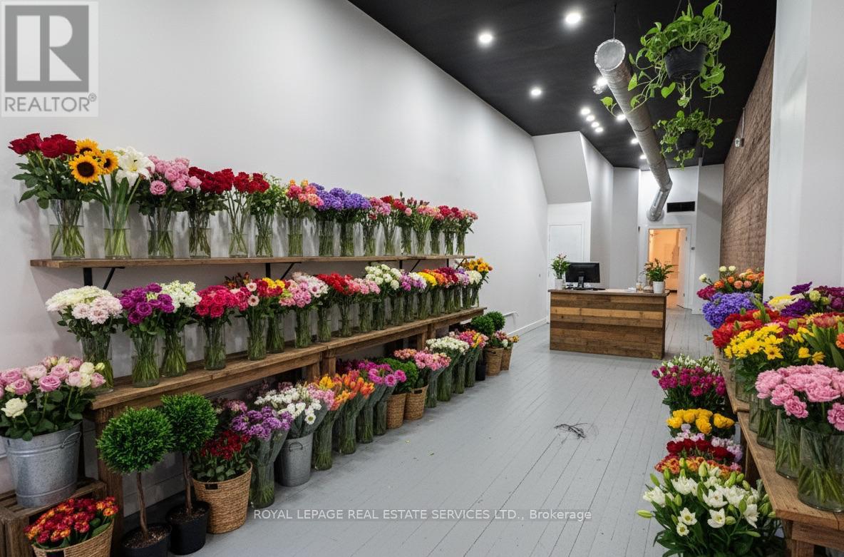 












181 KING STREET

,
Hamilton,




Ontario
L8N1B3

