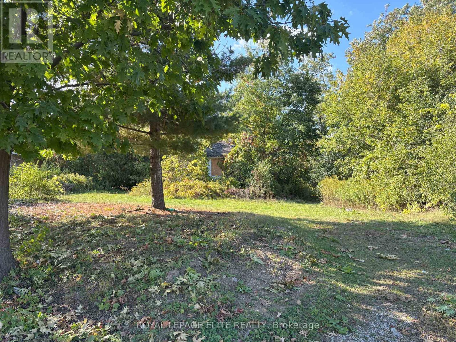 












1631 EGLINTON AVENUE W

,
Mississauga,




Ontario
L5M7C1

