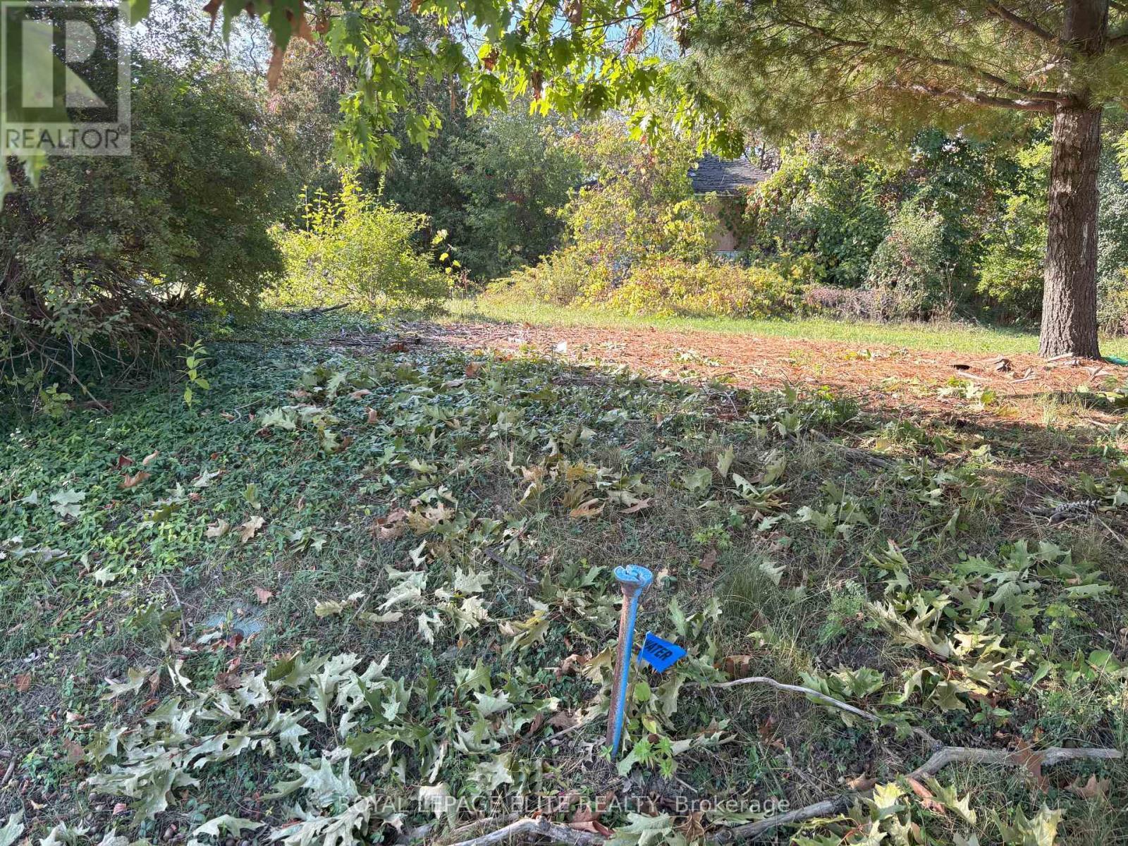 












1631 EGLINTON AVENUE W

,
Mississauga,




Ontario
L5M7C1

