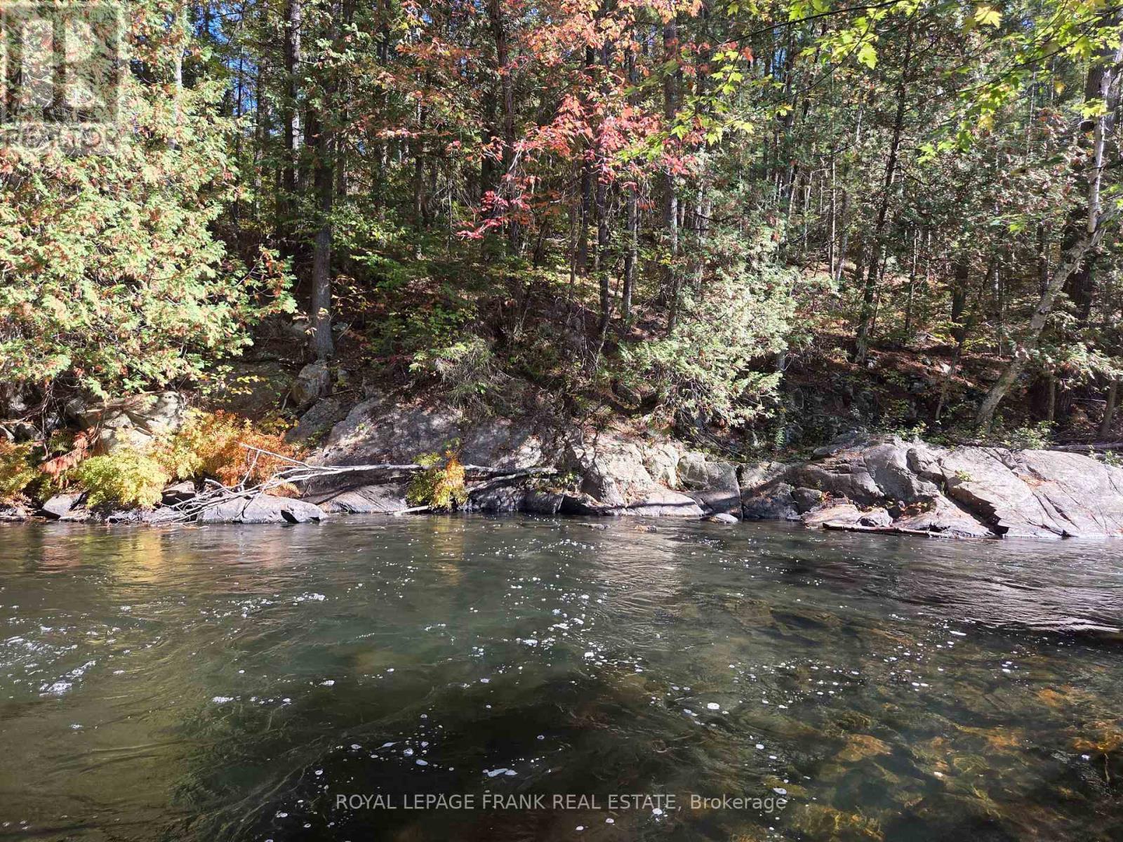 












8847 HIGHWAY 28

,
North Kawartha,




Ontario
K0L1A0

