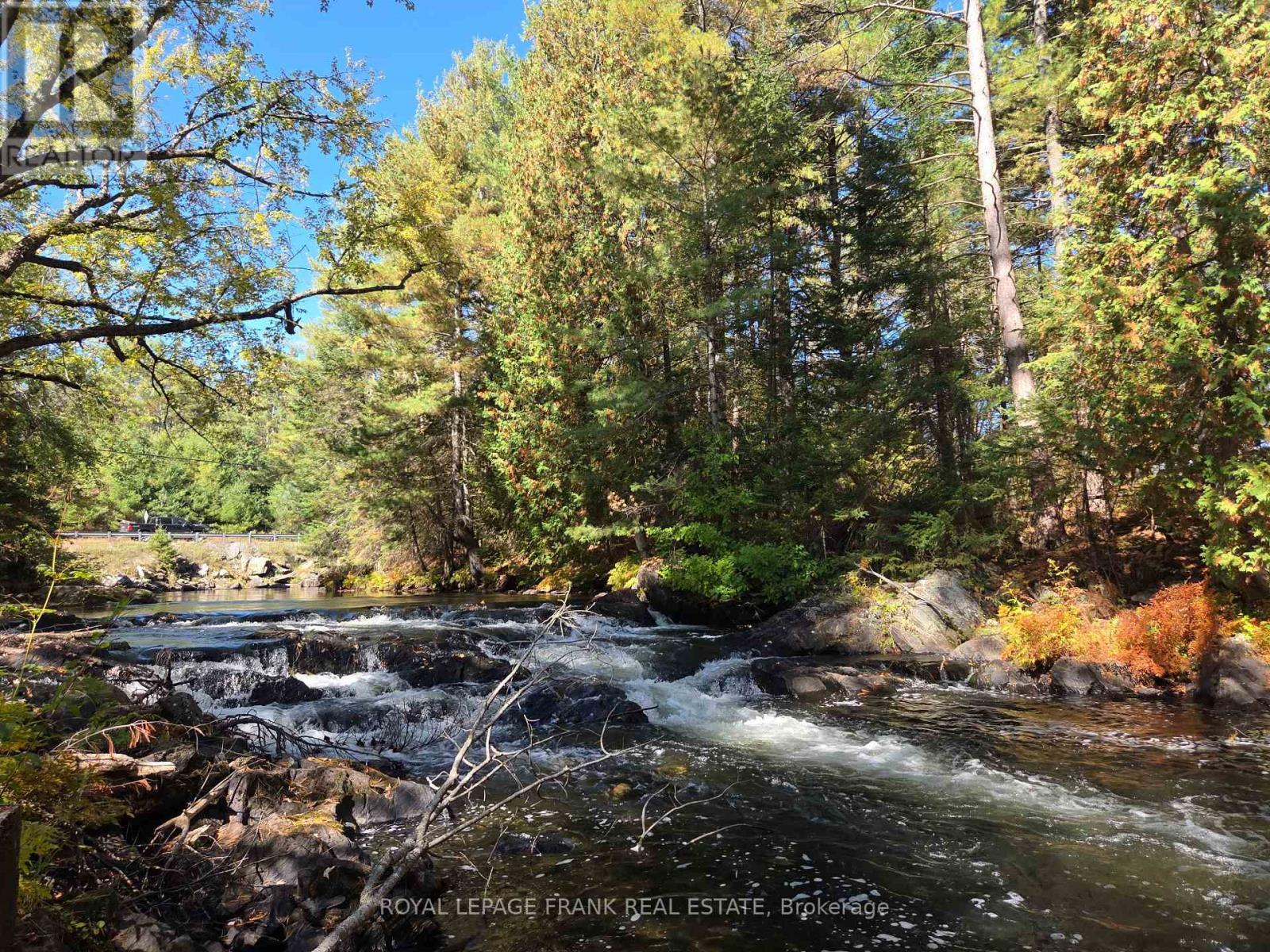 












8847 HIGHWAY 28

,
North Kawartha,




Ontario
K0L1A0

