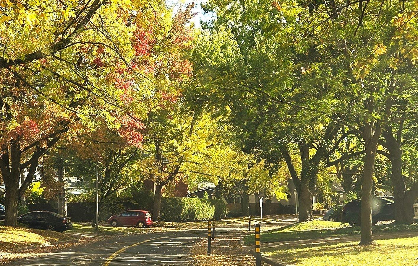 









155


Rue Vanier

,
Sorel-Tracy,




QC
J3R2T8

