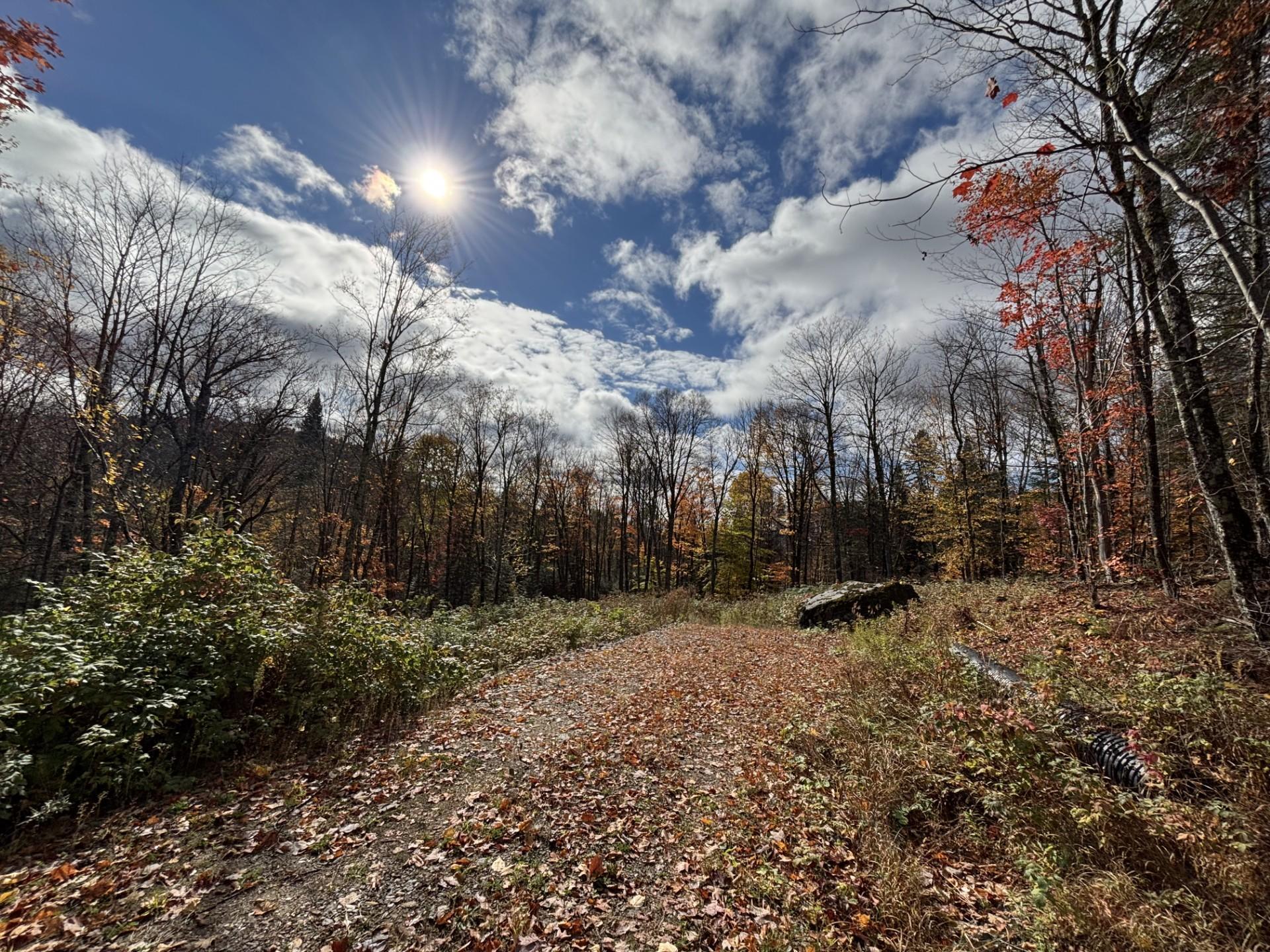 












Ch. Adélard

,
Lac-Supérieur,







QC
J0T1J0

