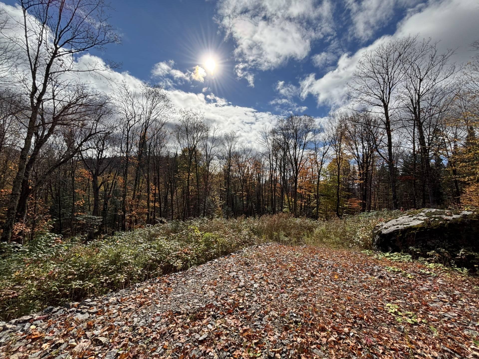 












Ch. Adélard

,
Lac-Supérieur,







QC
J0T1J0

