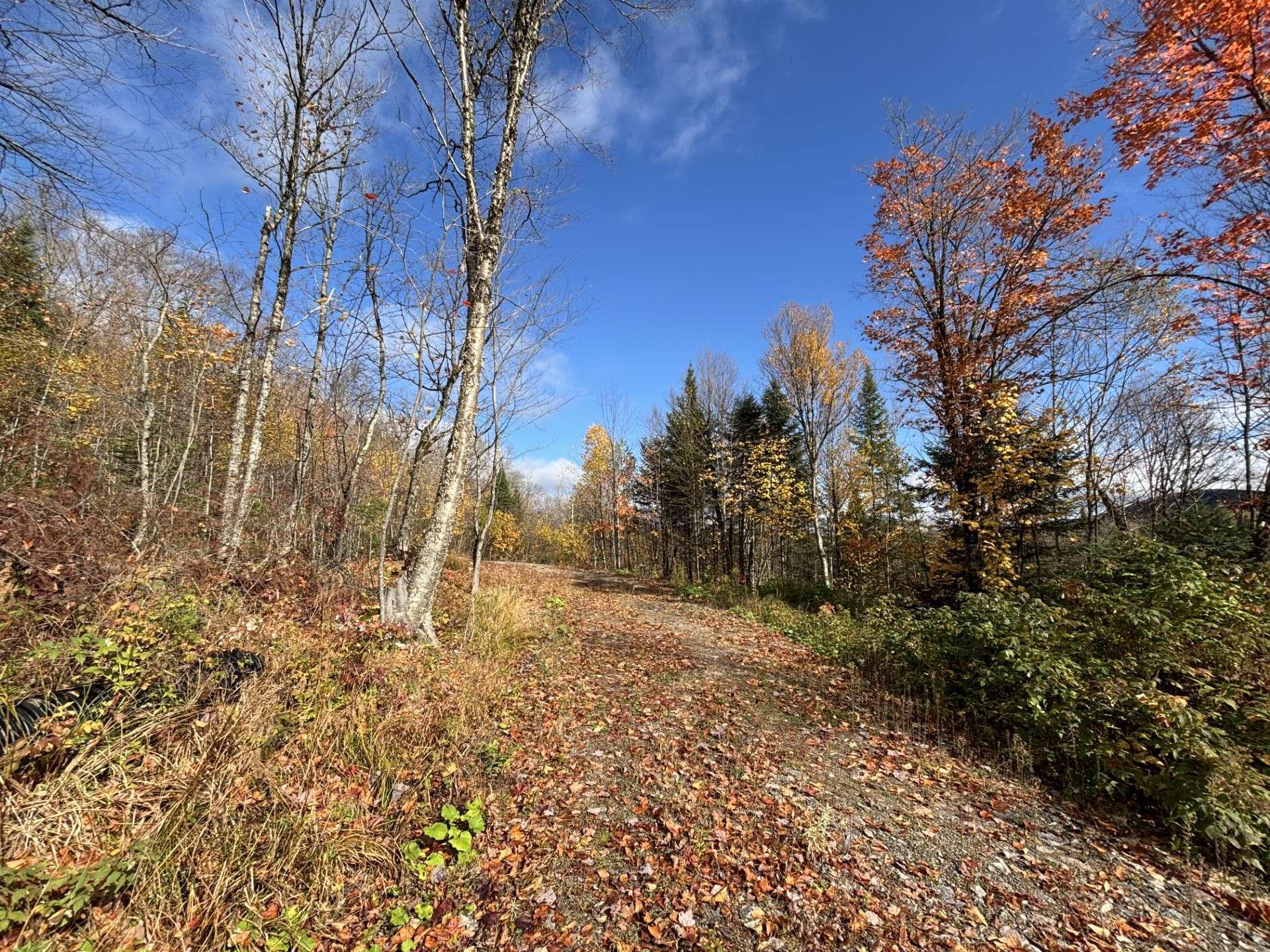 












Ch. Adélard

,
Lac-Supérieur,







QC
J0T1J0


