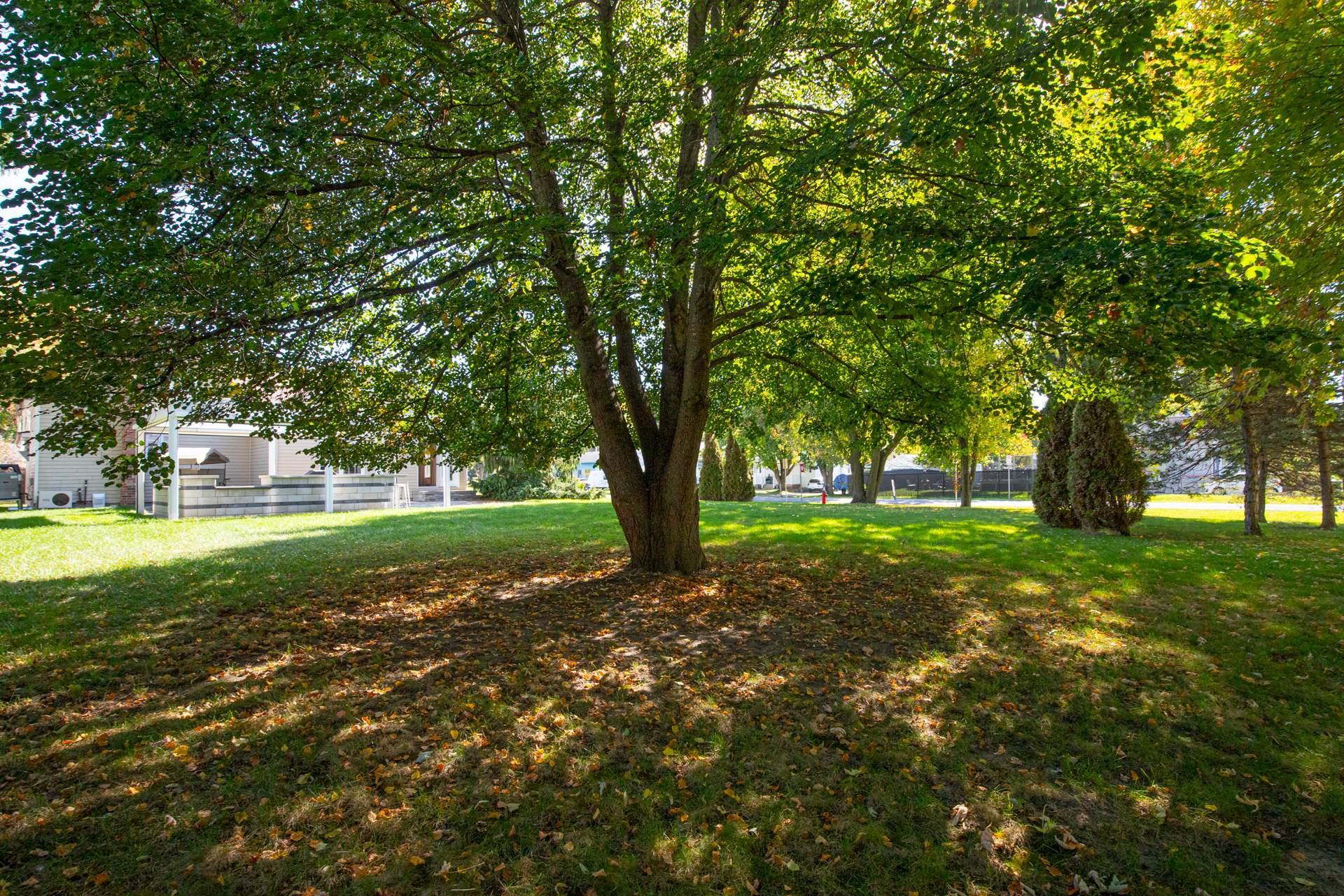









12


Rue Genest

,
Saint-Jean-sur-Richelieu,




QC
J2X2V1

