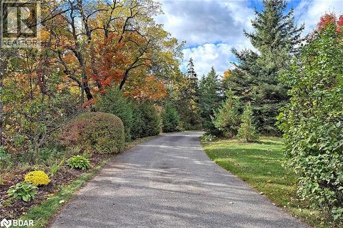 View of road with a forest view