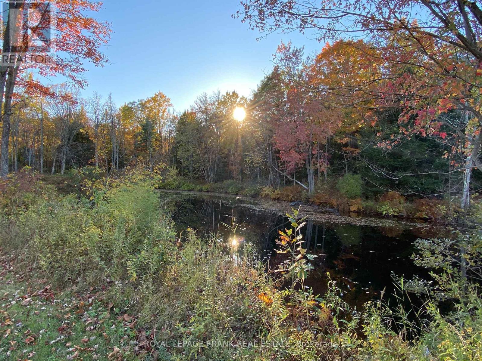 












25C FORBES ROAD

,
Tweed (Elzevir (Twp)),




Ontario
K0K2K0

