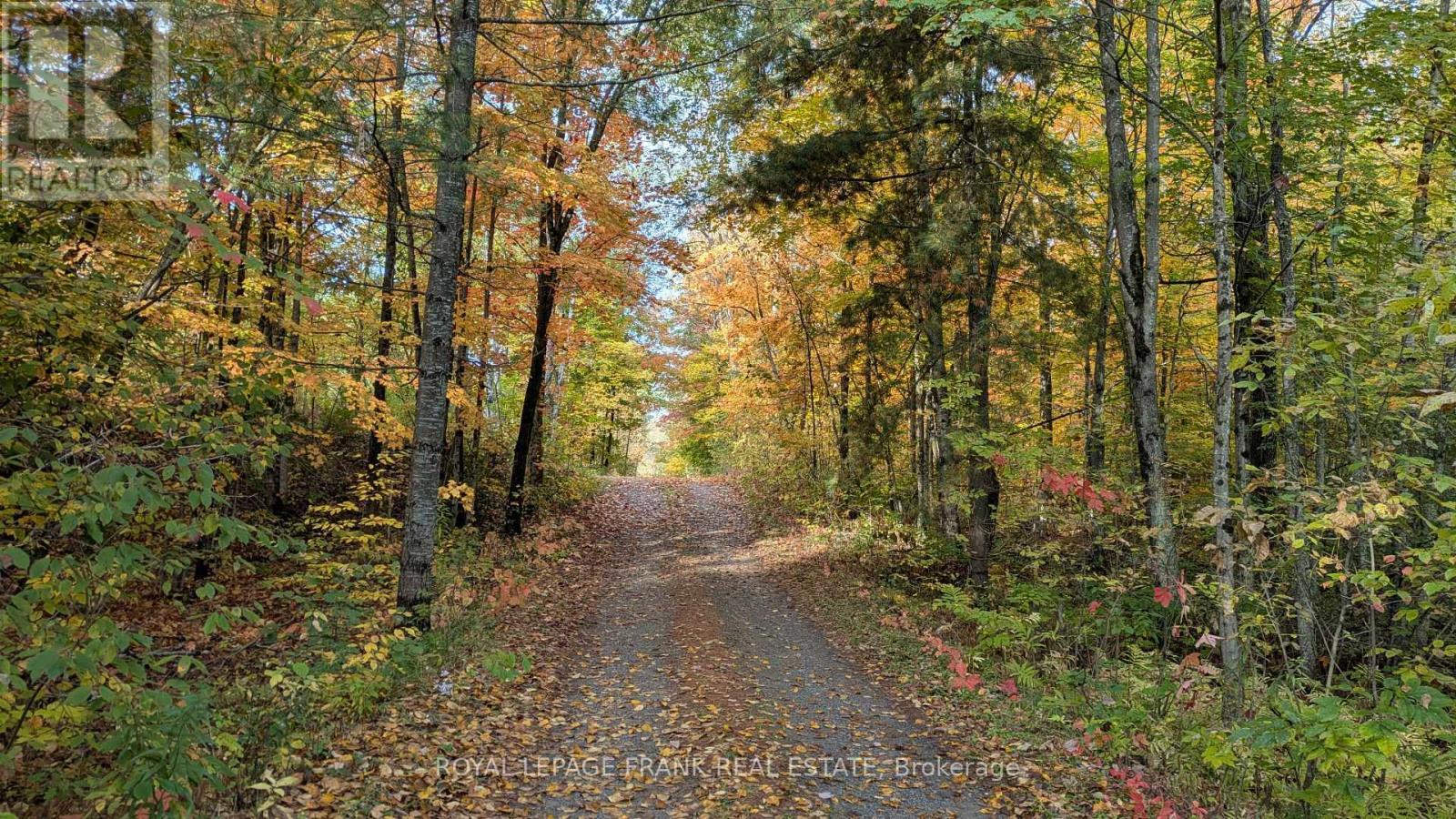 












25C FORBES ROAD

,
Tweed (Elzevir (Twp)),




Ontario
K0K2K0

