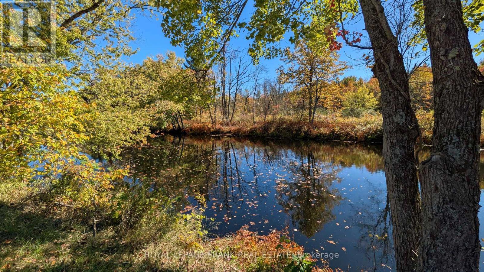 












25C FORBES ROAD

,
Tweed (Elzevir (Twp)),




Ontario
K0K2K0

