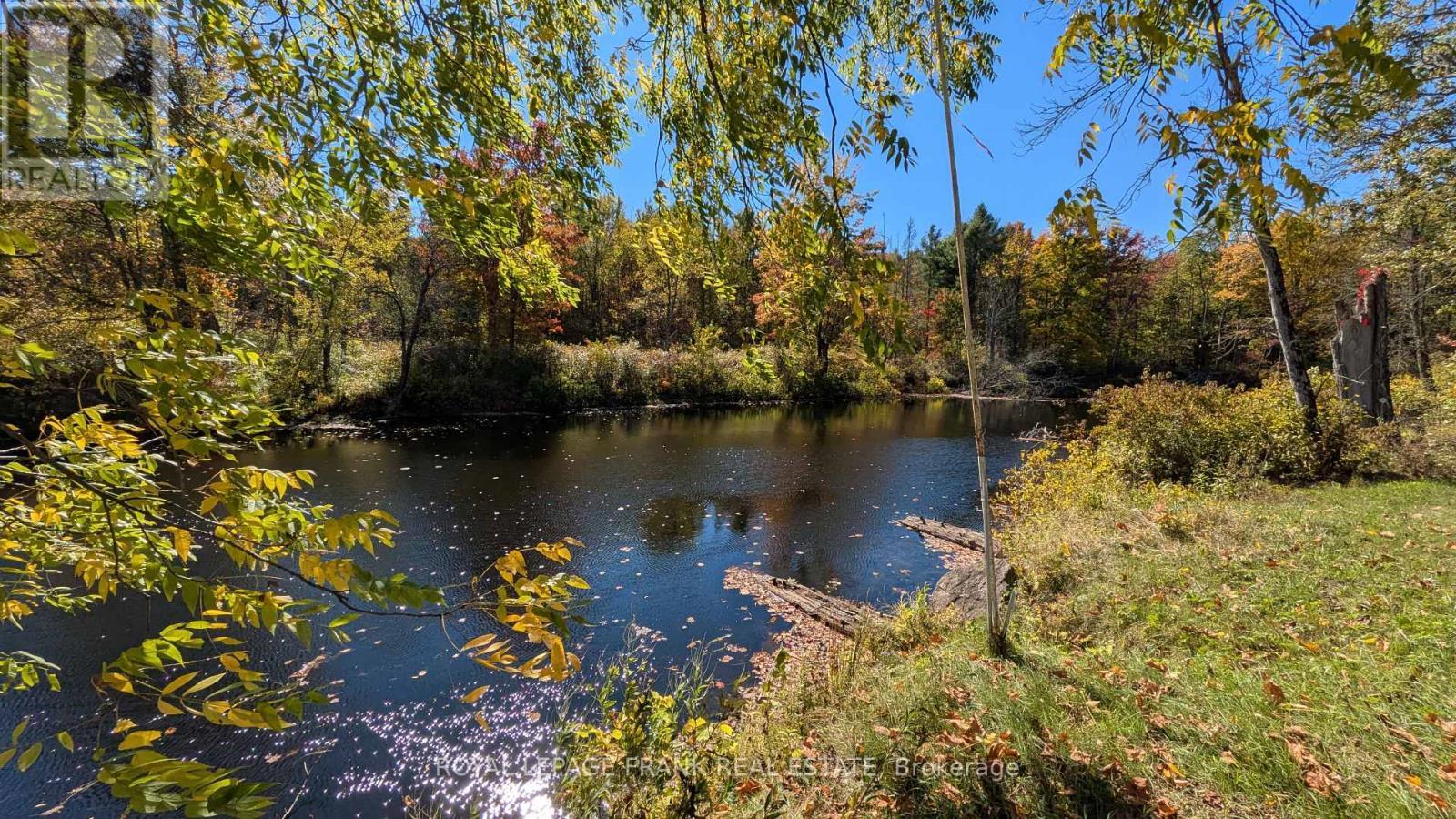












25C FORBES ROAD

,
Tweed (Elzevir (Twp)),




Ontario
K0K2K0

