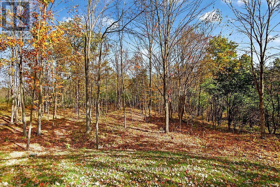 












127 ERNEST WAY

,
Tay Valley,




Ontario
K7H0B3

