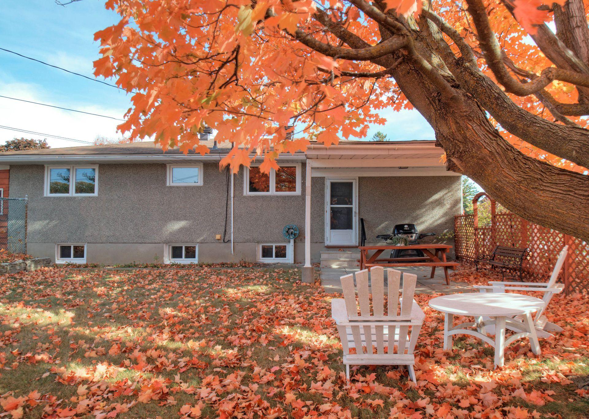 









539


Rue Tyler

,
Gatineau (Aylmer),




QC
J9H4L2

