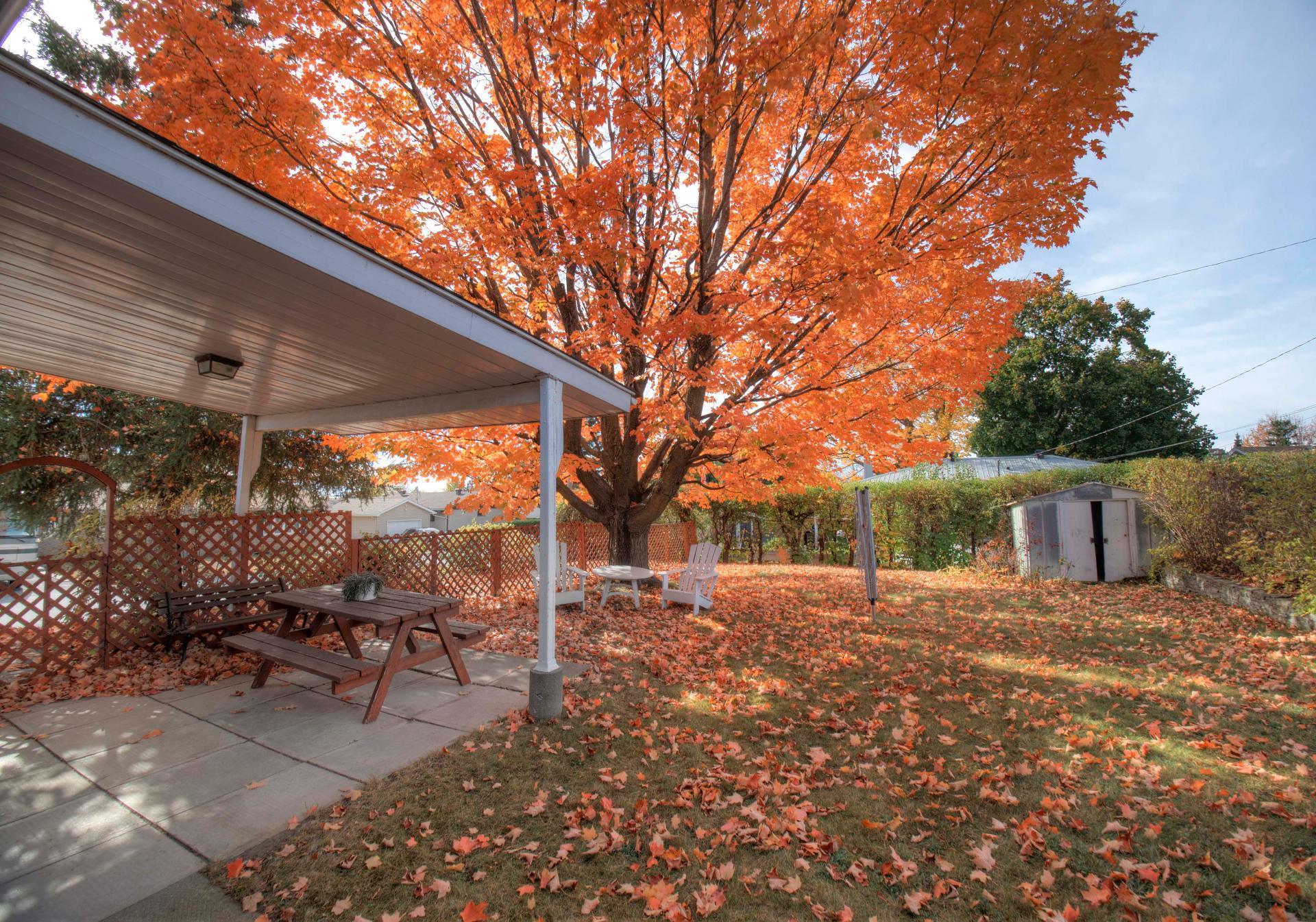 









539


Rue Tyler

,
Gatineau (Aylmer),




QC
J9H4L2

