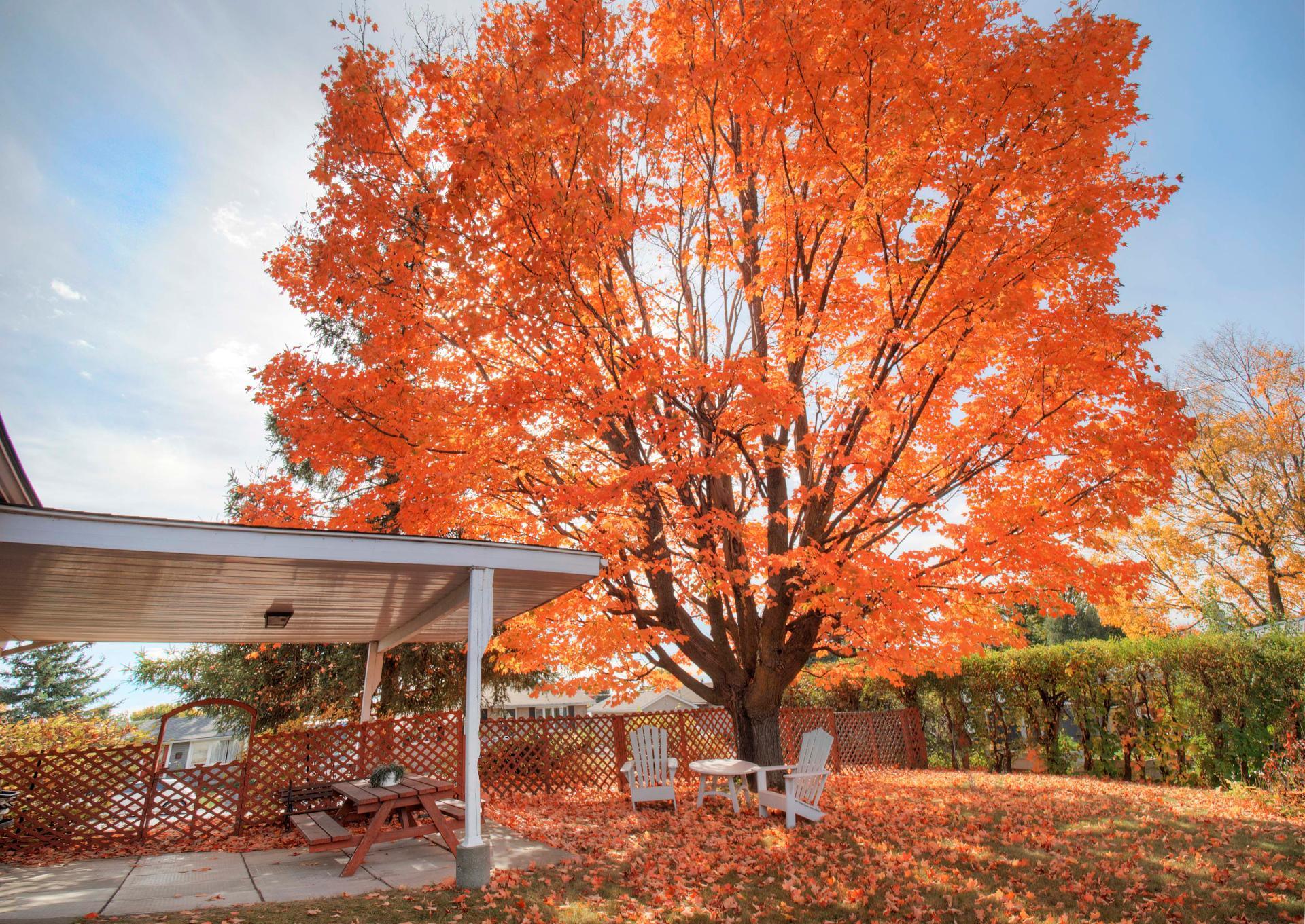 









539


Rue Tyler

,
Gatineau (Aylmer),




QC
J9H4L2

